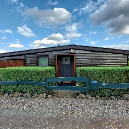 Ferienhaus Eifel Nature Dream Dockweiler Zewnętrze zdjęcie