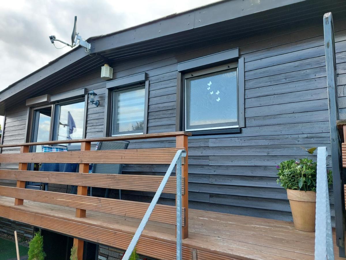 Ferienhaus Eifel Nature Dream Dockweiler Zewnętrze zdjęcie